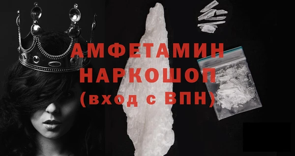 шишки Снежногорск