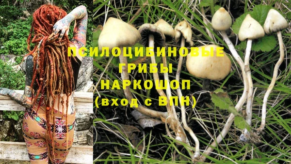 кокаин премиум Алзамай